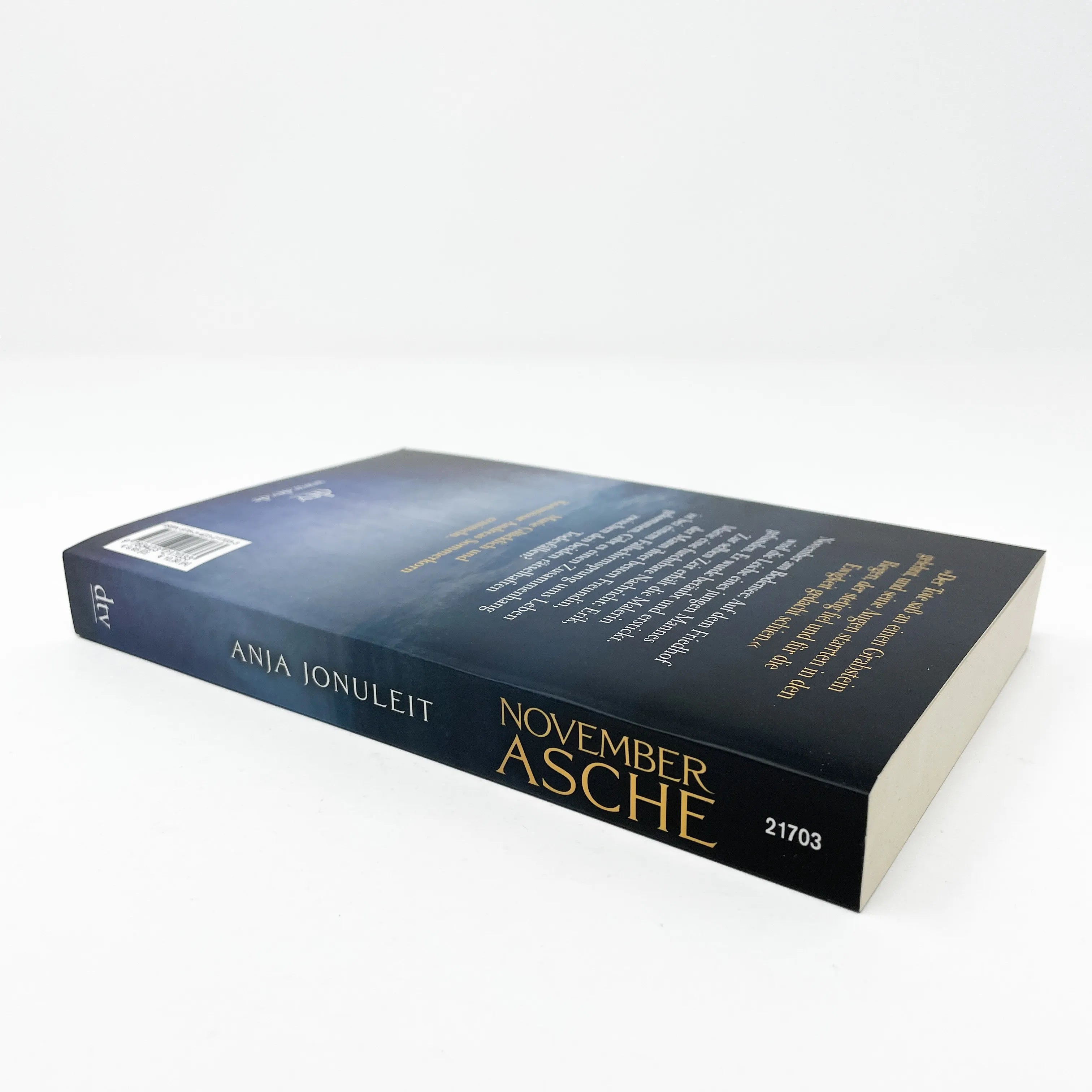 Produktansicht: Novemberasche (Taschenbuch)