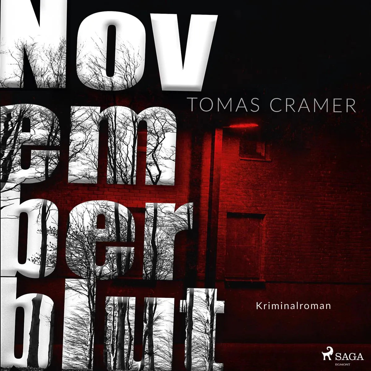Cover: Novemberblut (Hörbuch Download) von Tomas Cramer