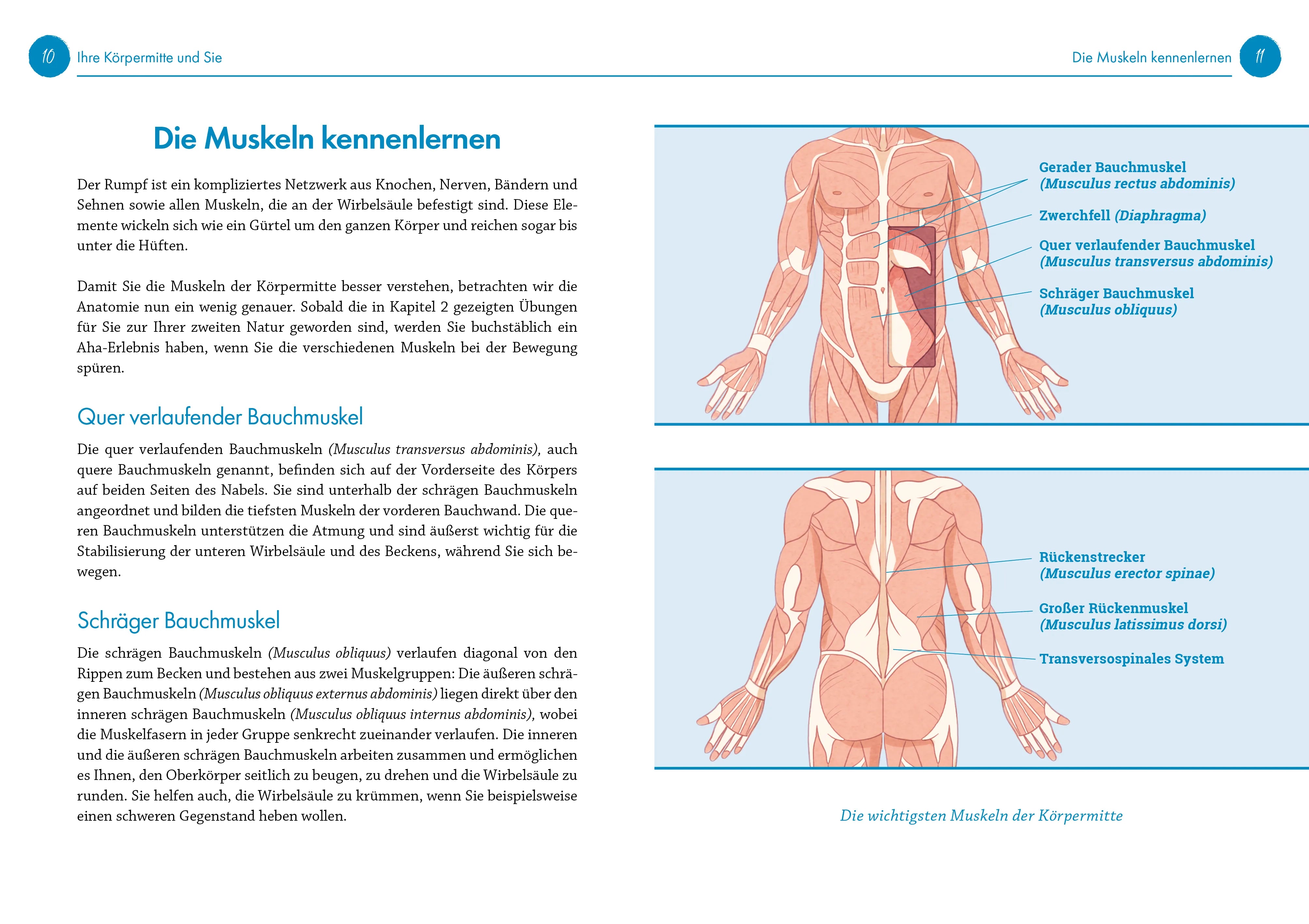 Innenansicht von 'Nur 5 Minuten – Die besten Übungen für Senioren' - Taschenbuch