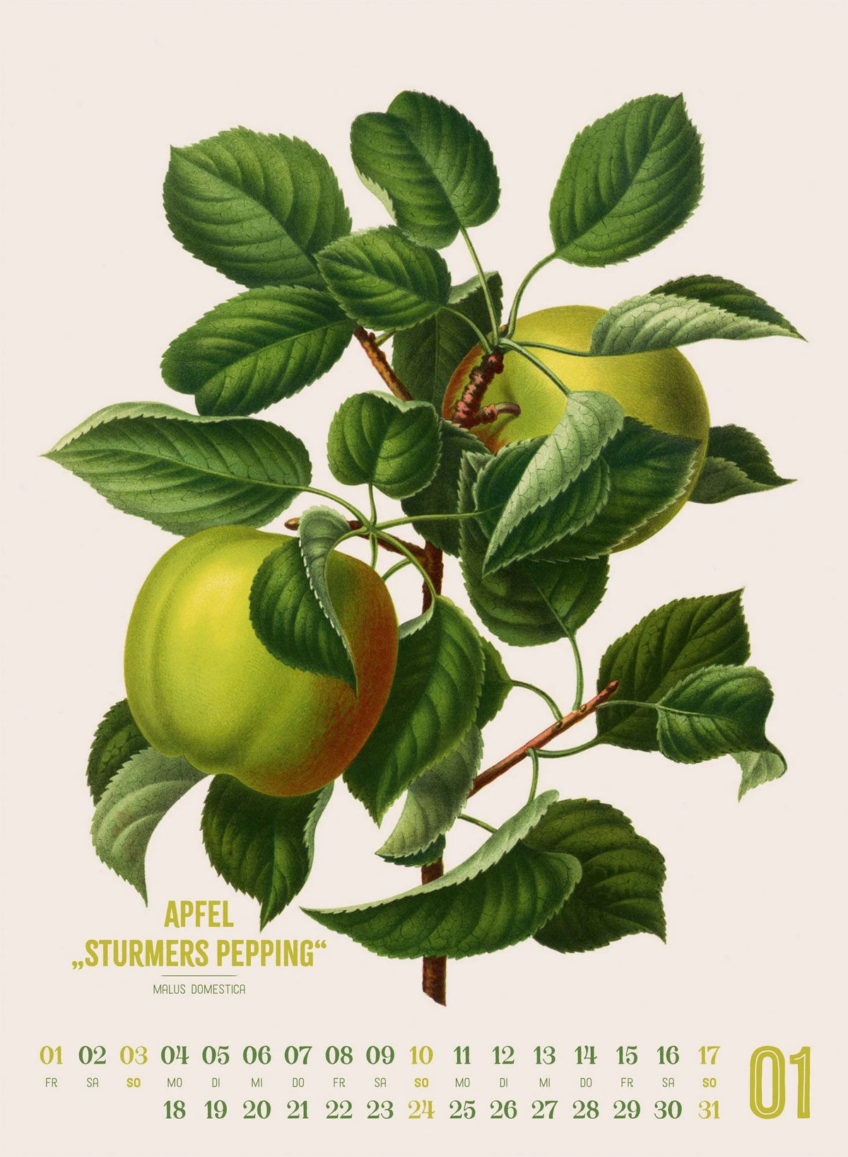 Obstgarten Kalender 2027 | Apfel, Birne, Pflaume & Co. – Ansicht