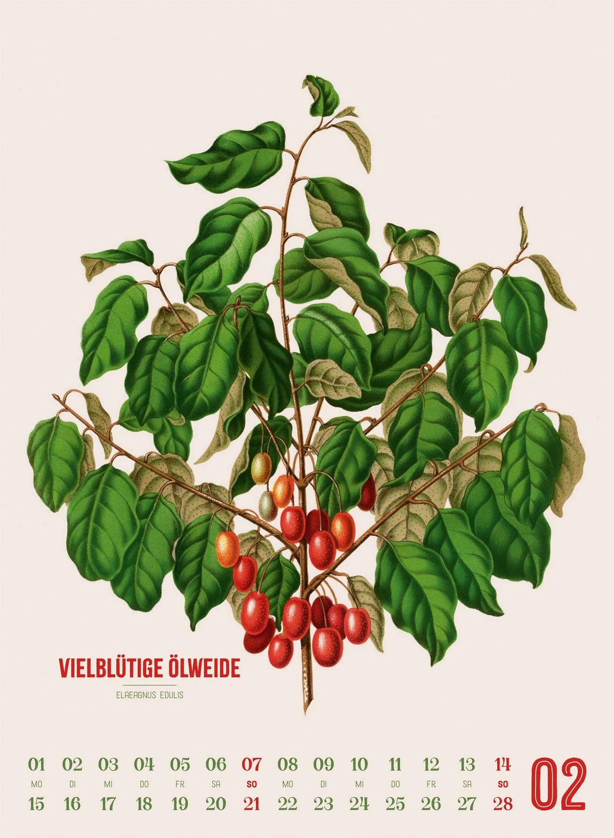 Obstgarten Kalender 2027 | Apfel, Birne, Pflaume & Co. – Ansicht