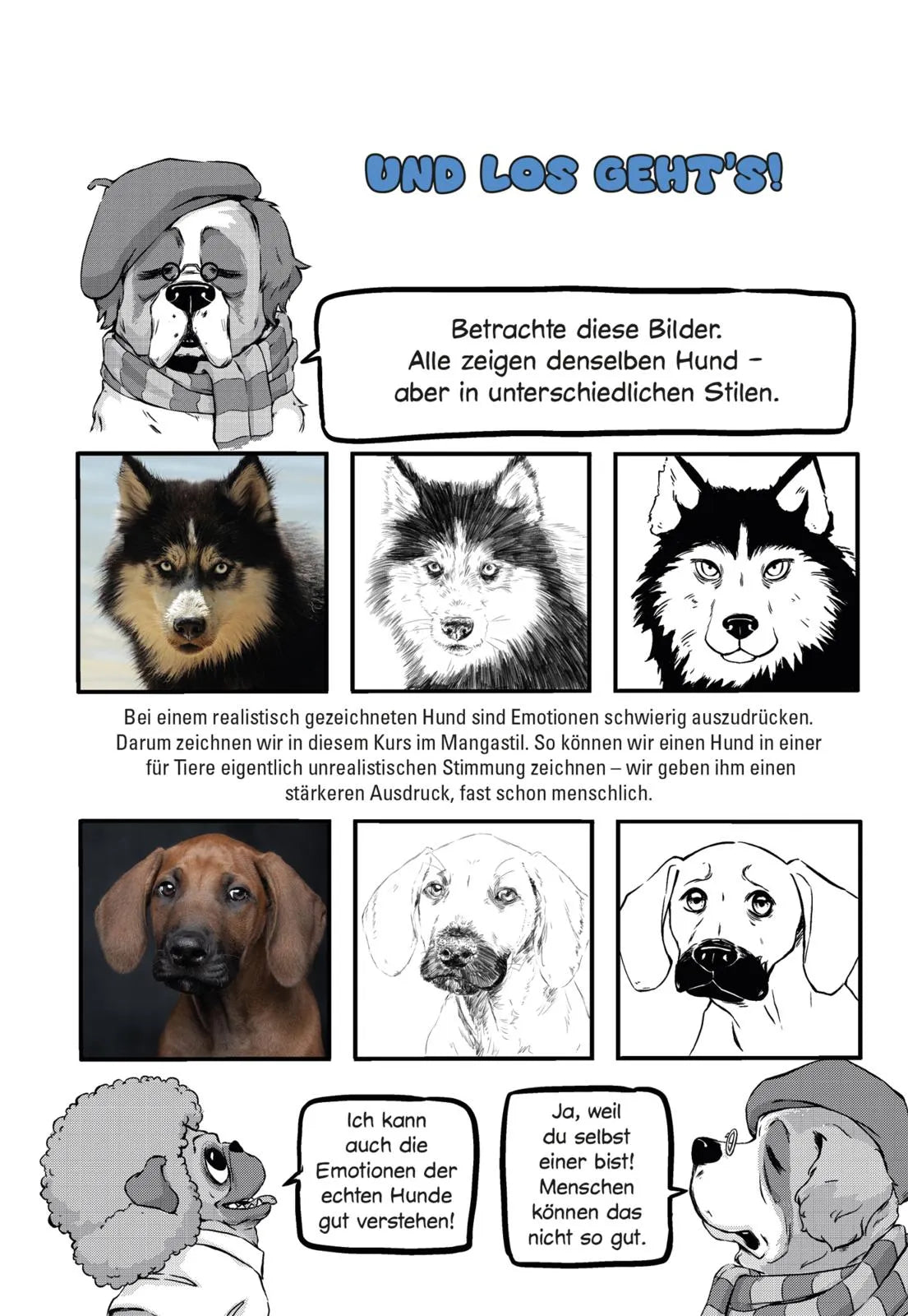 Produktansicht: Olschis Zeichenkurs: Superhunde! (Taschenbuch)