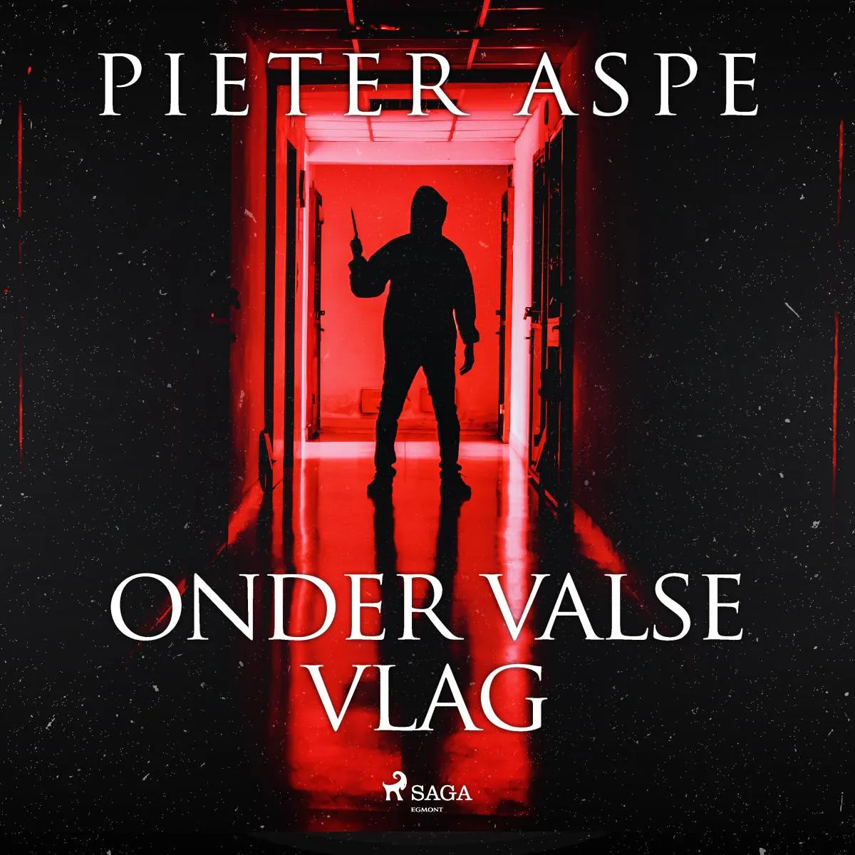Cover: Onder valse vlag (Hörbuch Download) von Pieter Aspe