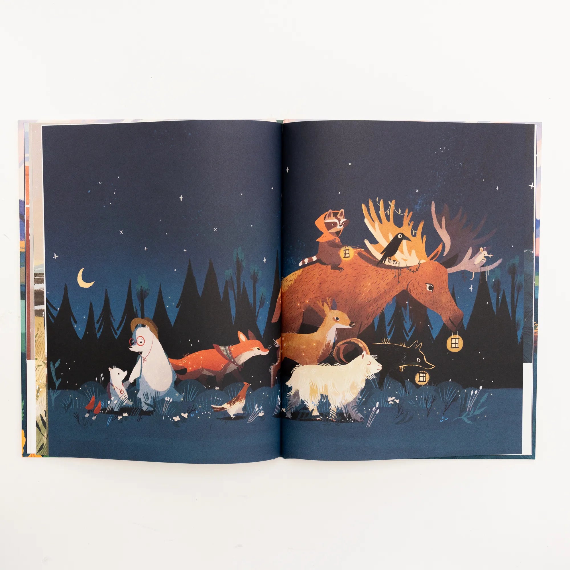 Produktansicht: Opa Bär und Kleiner Bär suchen die Wildnis (Gebundene Ausgabe)