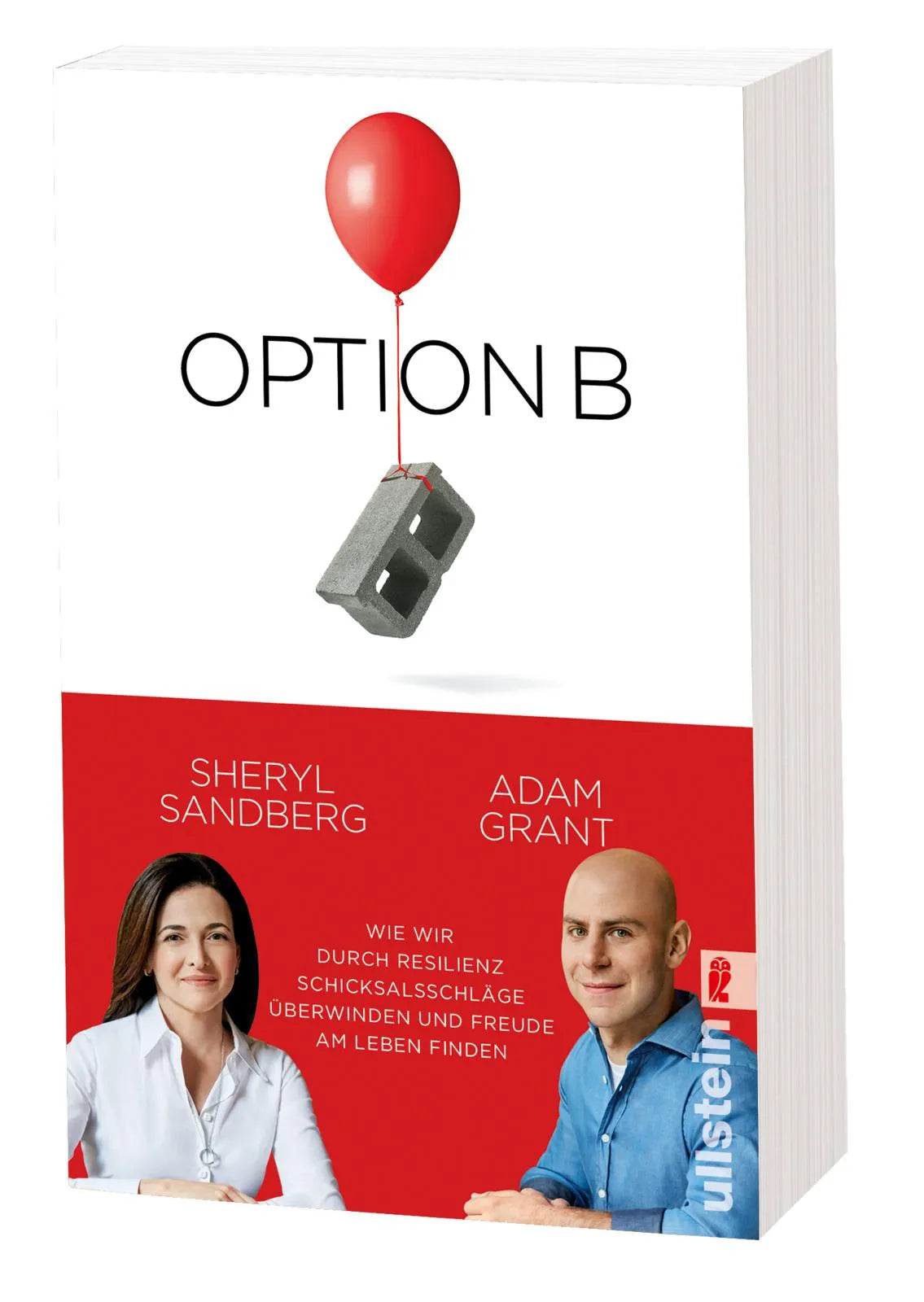 Sheryl Sandberg - Option B