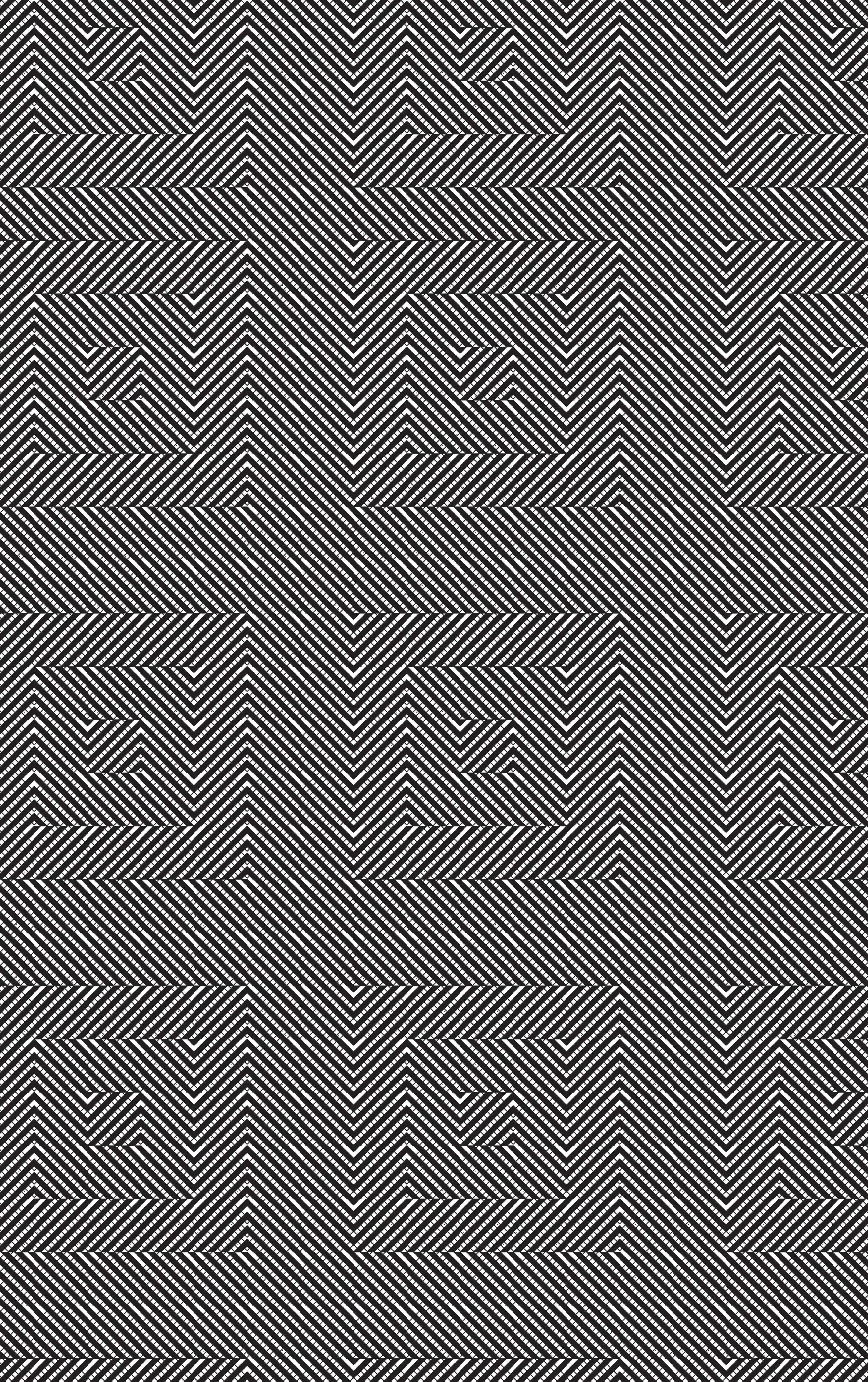 Rückseite: Oskar Fiala und das Prinzip der kleinsten Wirkung (Hardcover)