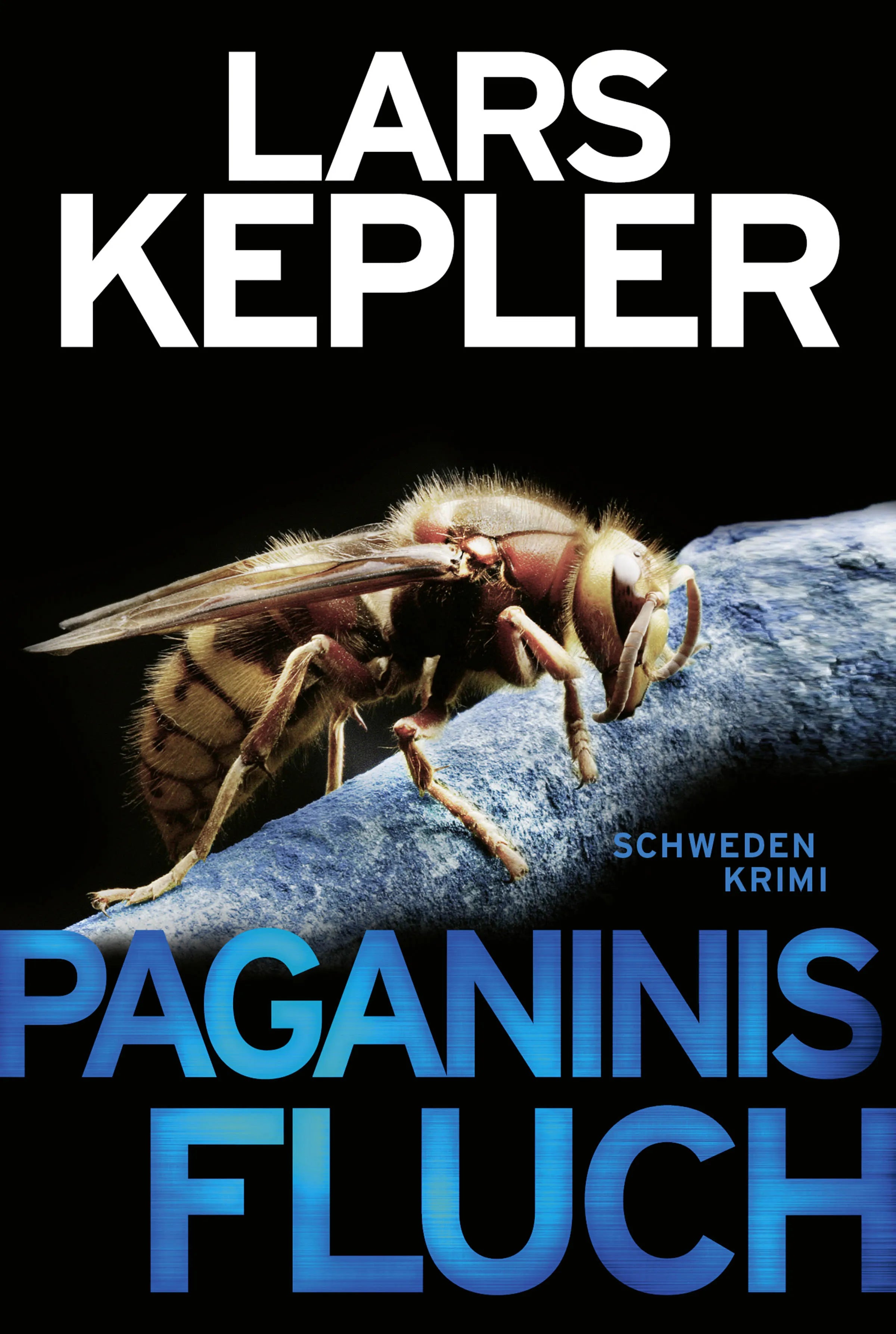 Buchcover von 'Paganinis Fluch' - Taschenbuch von Lars Kepler