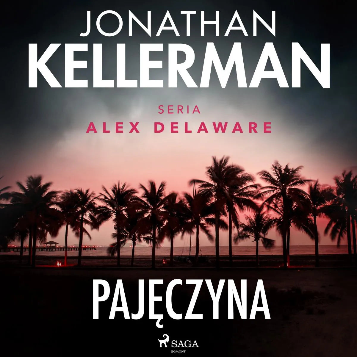 Cover: Pajęczyna (Hörbuch Download) von Jonathan Kellerman