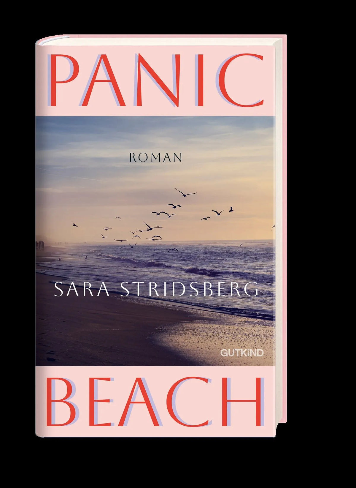 Detailansicht: Panic Beach (Hardcover)