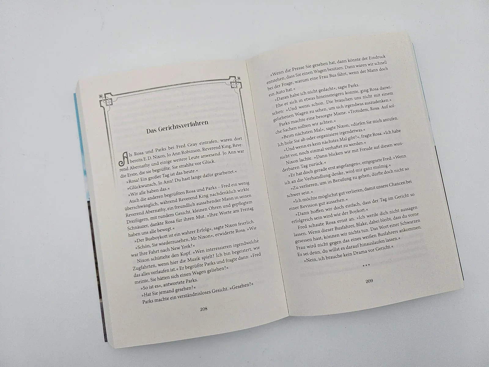 Produktansicht: Die mutige Rebellin (Paperback)