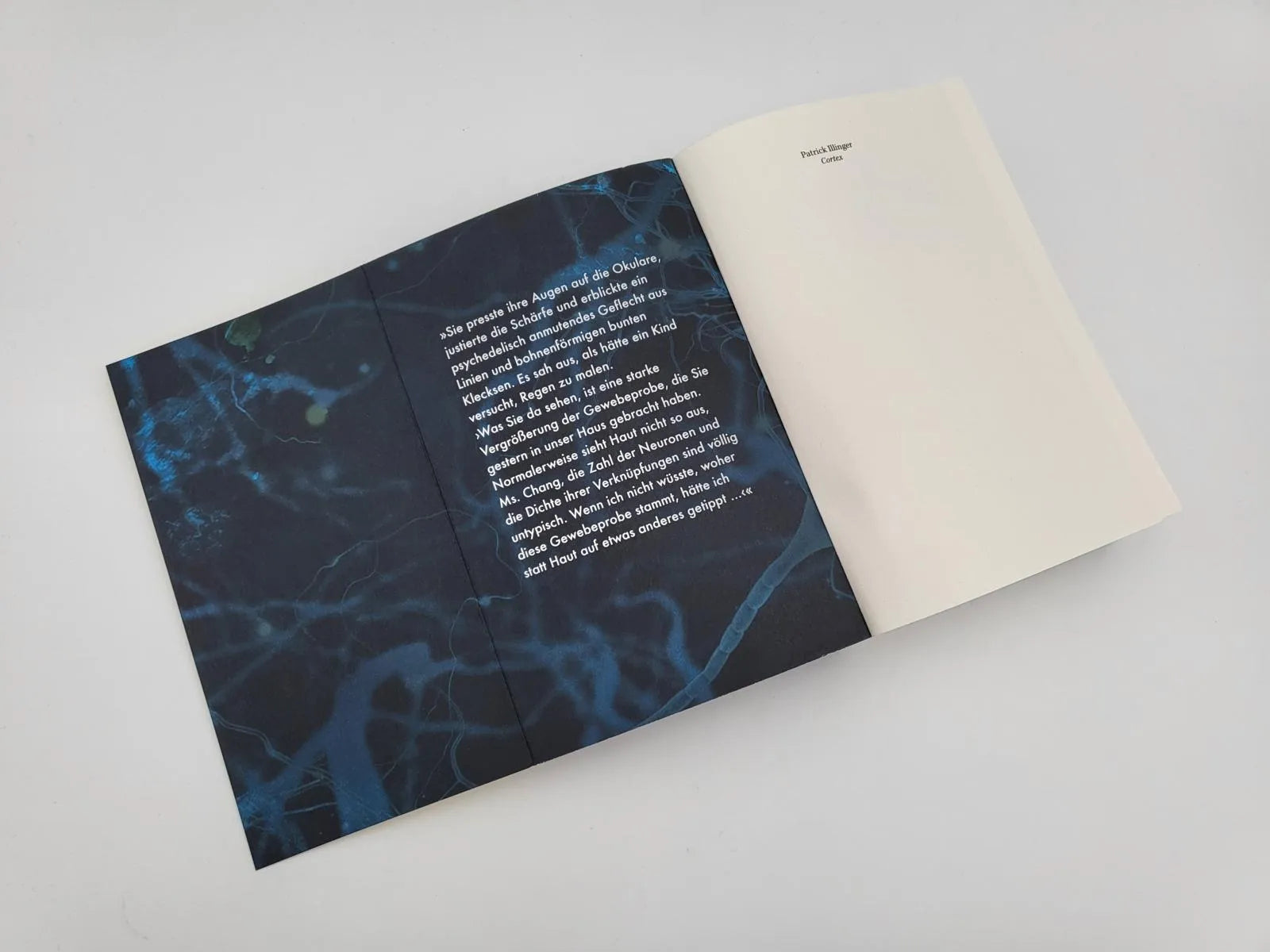 Produktansicht: Cortex (Paperback)