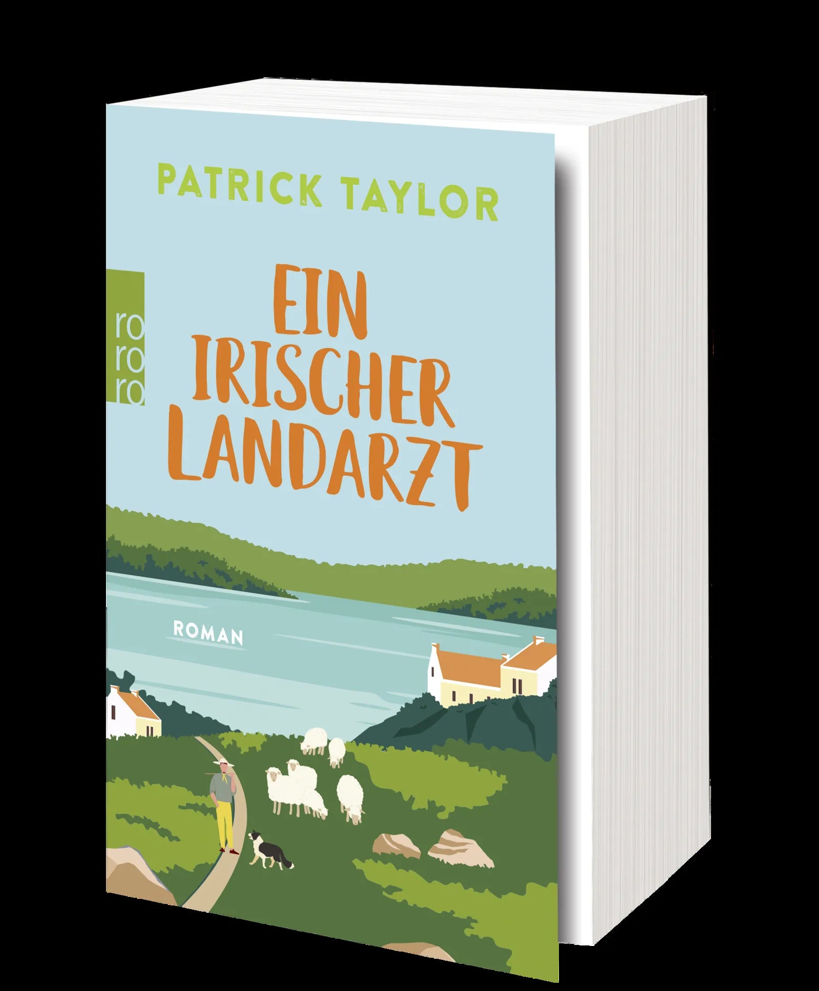 Produktansicht: Ein irischer Landarzt (Taschenbuch)