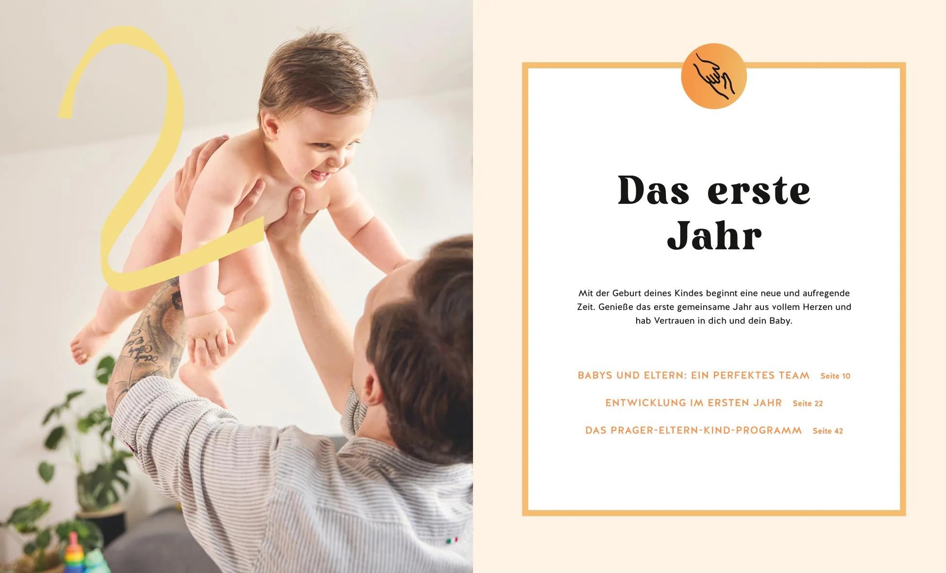 Produktansicht: PEKiP (Taschenbuch)