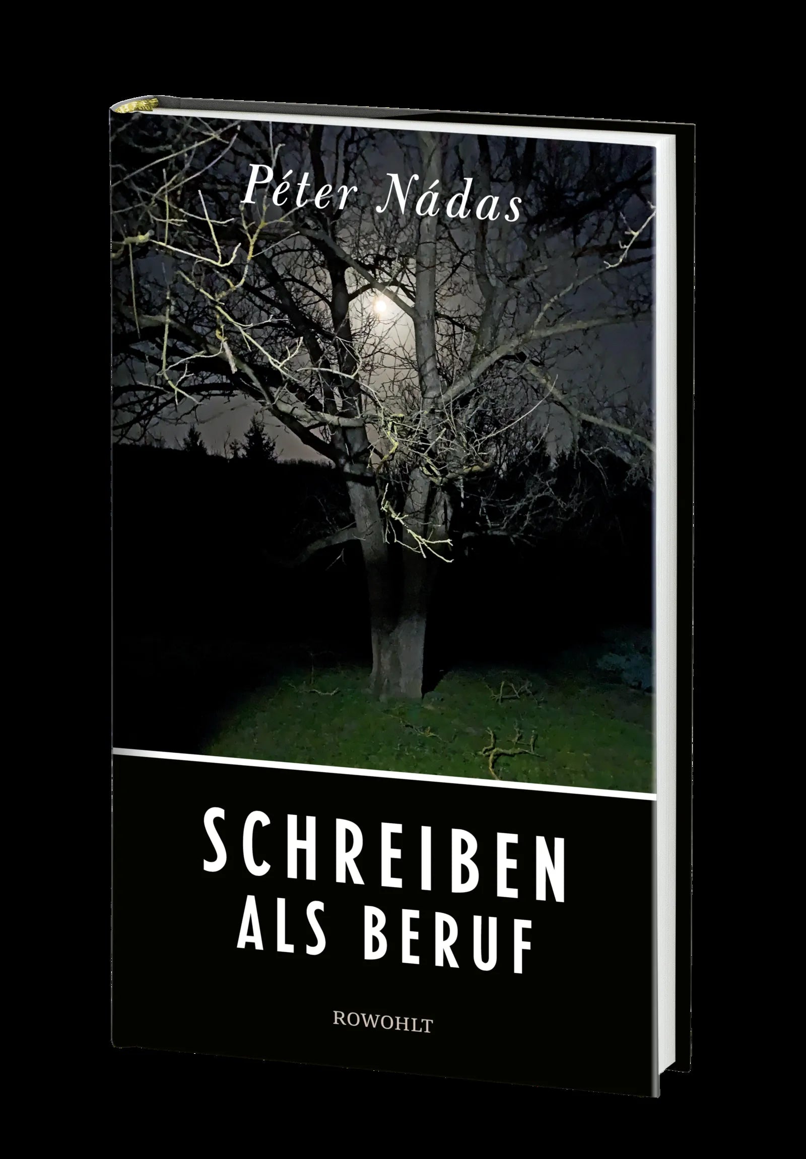 Produktansicht: Schreiben als Beruf (Gebundene Ausgabe)