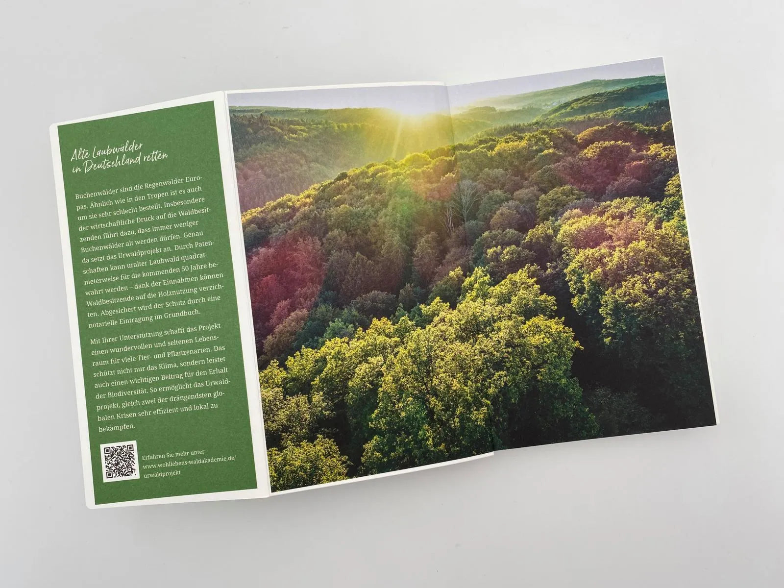 Produktansicht: Gebrauchsanweisung für den Wald (Taschenbuch)