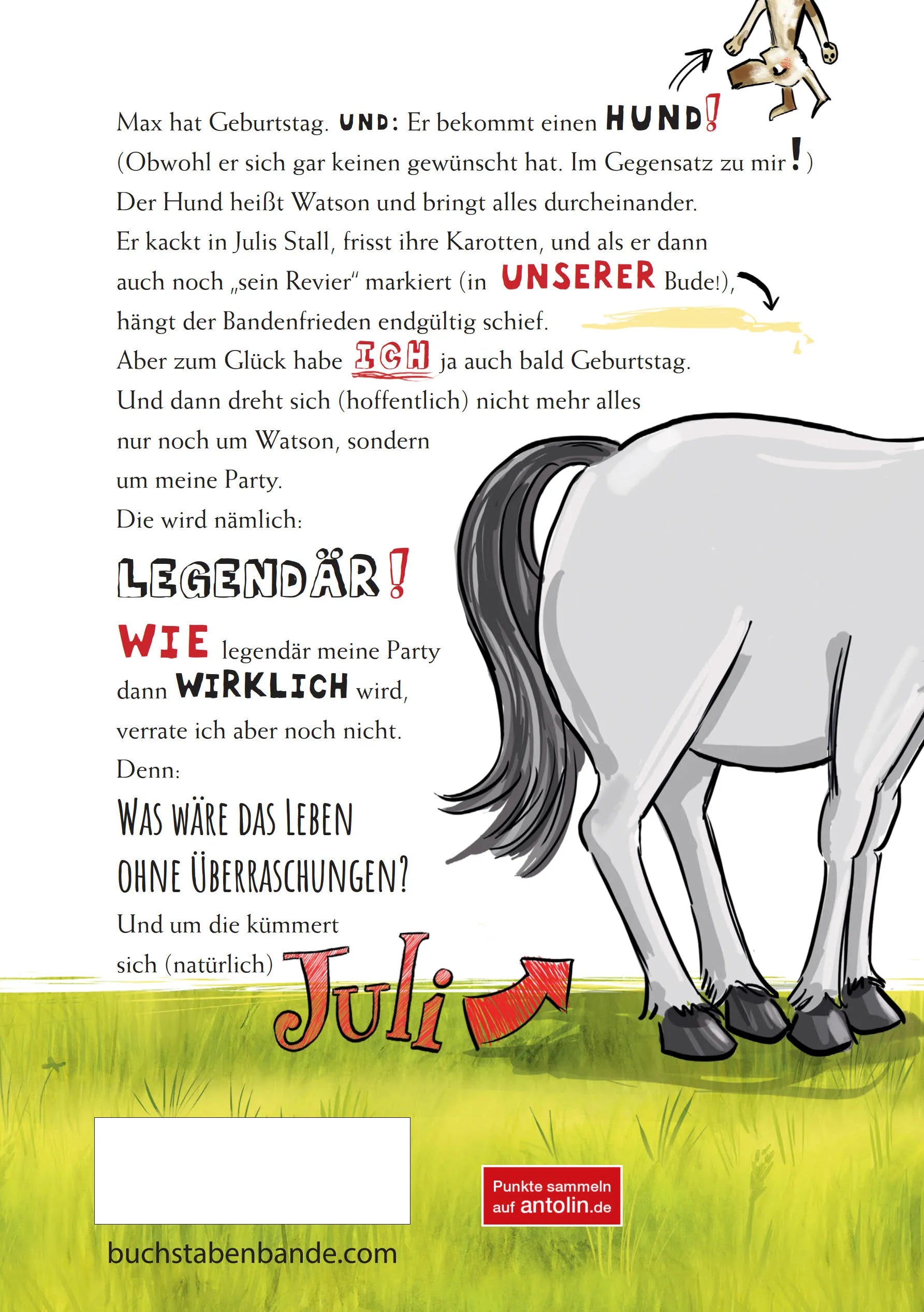 Produktansicht: Geburtstag (Gebundene Ausgabe)
