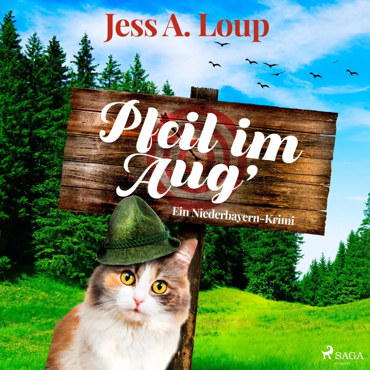 Cover: Pfeil im Aug' (Hörbuch Download) von Jess A. Loup