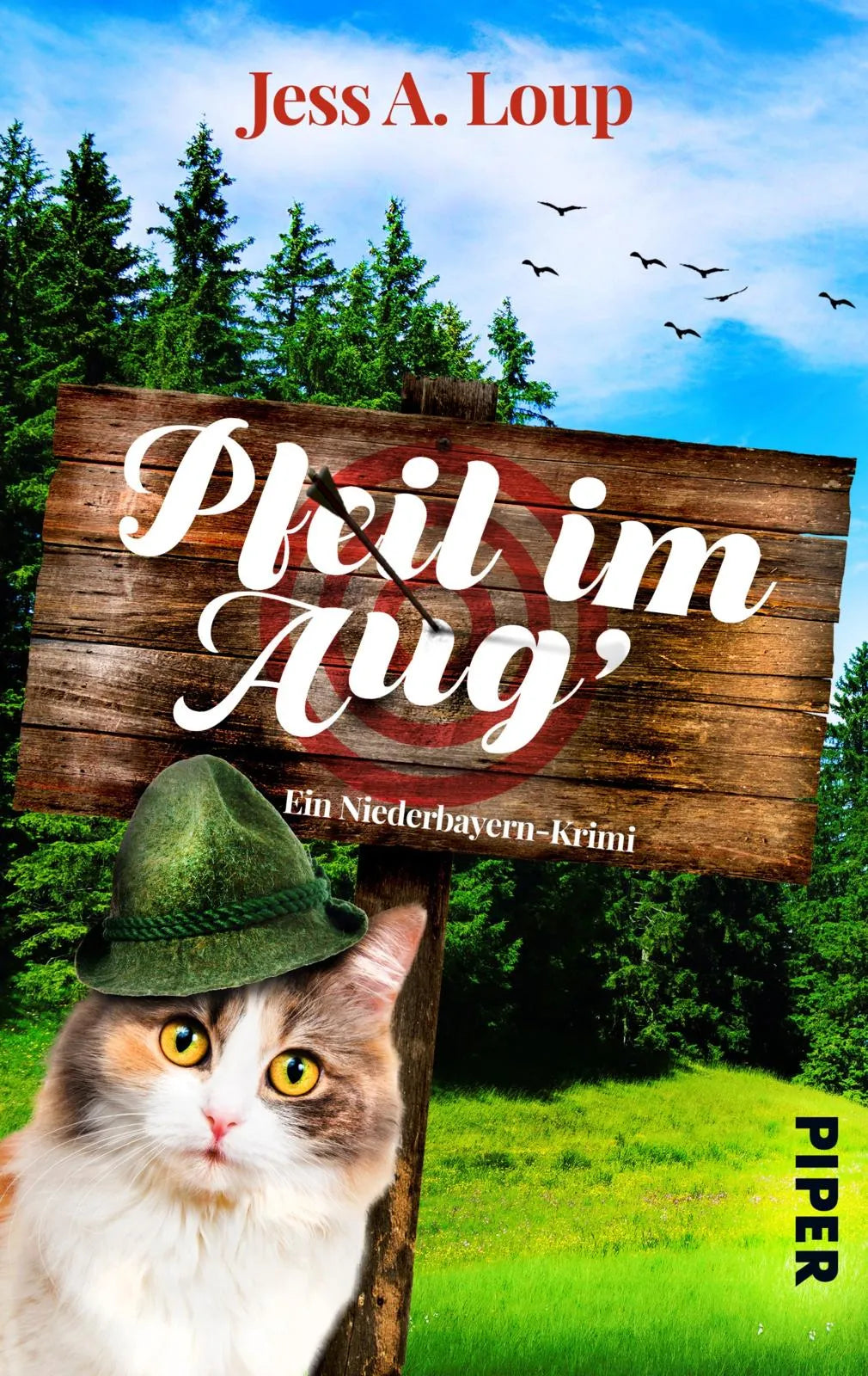 Buchcover von 'Pfeil im Aug'' - Taschenbuch von Jess A. Loup