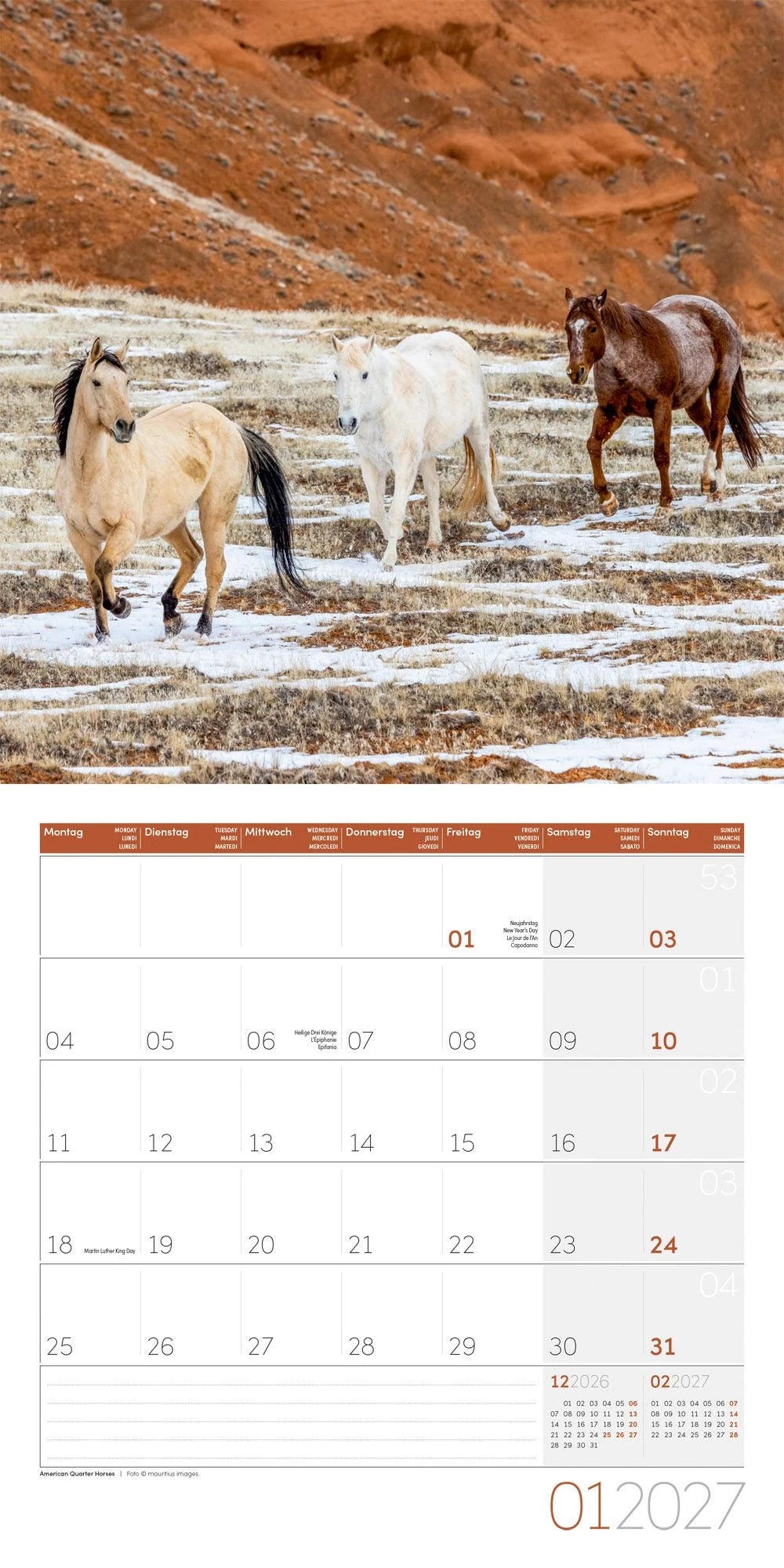 Pferde Kalender 2027 - 30x30 - Art12 – Ansicht
