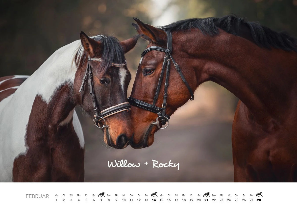 Pferde Kalender 2027 Wandkalender – Ansicht