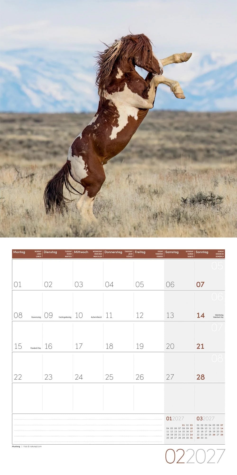 Pferde Kalender 2027 - 30x30 - Art12 – Ansicht
