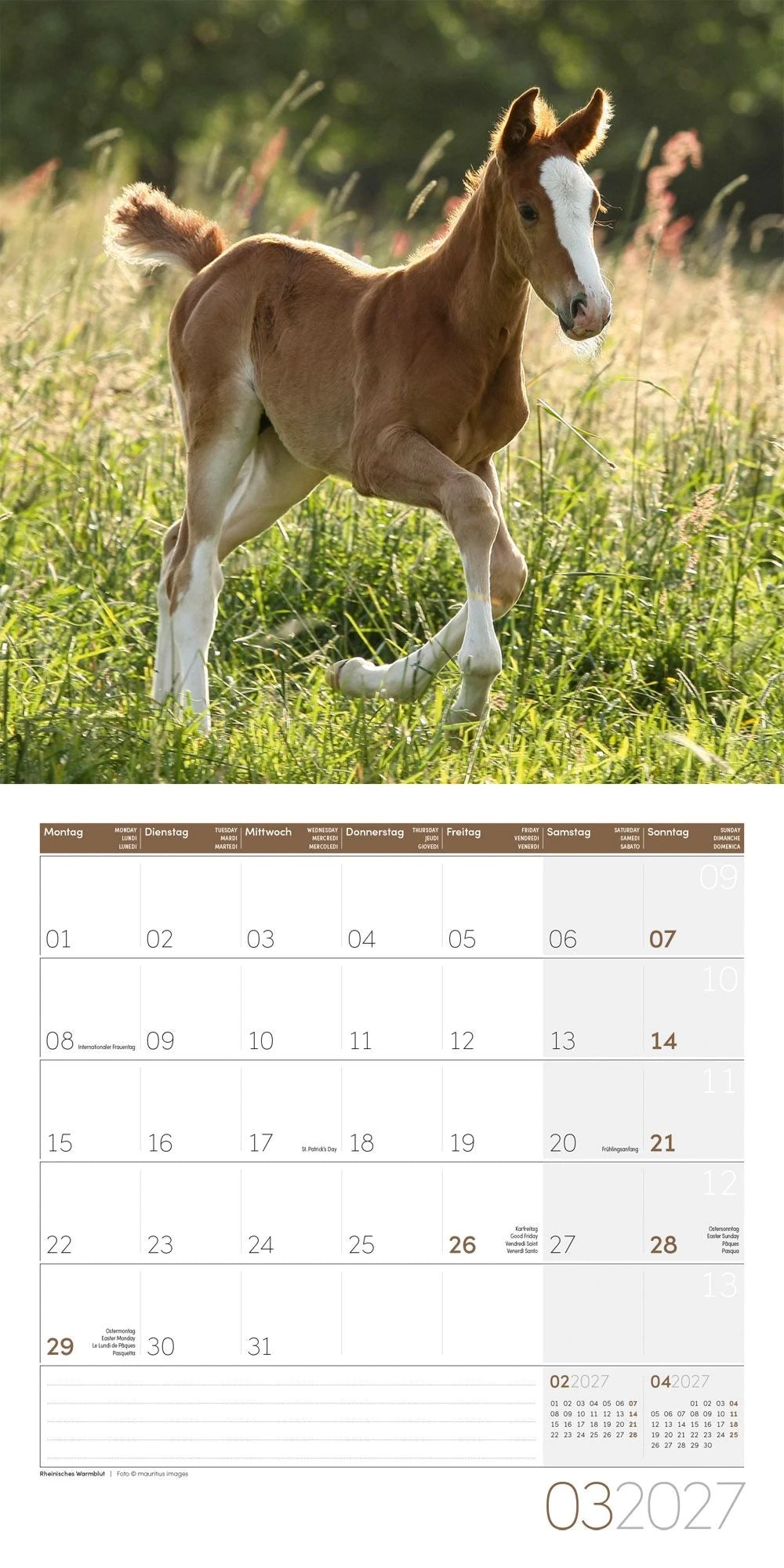 Pferde Kalender 2027 - 30x30 - Art12 – Ansicht