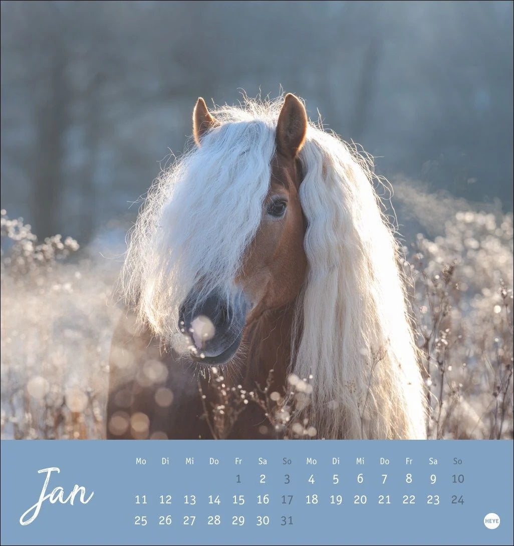 Pferde Postkartenkalender 2027 - Starke Freunde – Ansicht