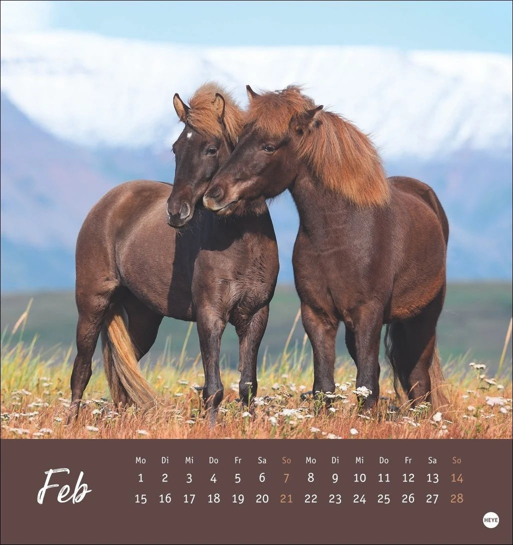 Pferde Postkartenkalender 2027 - Starke Freunde – Ansicht