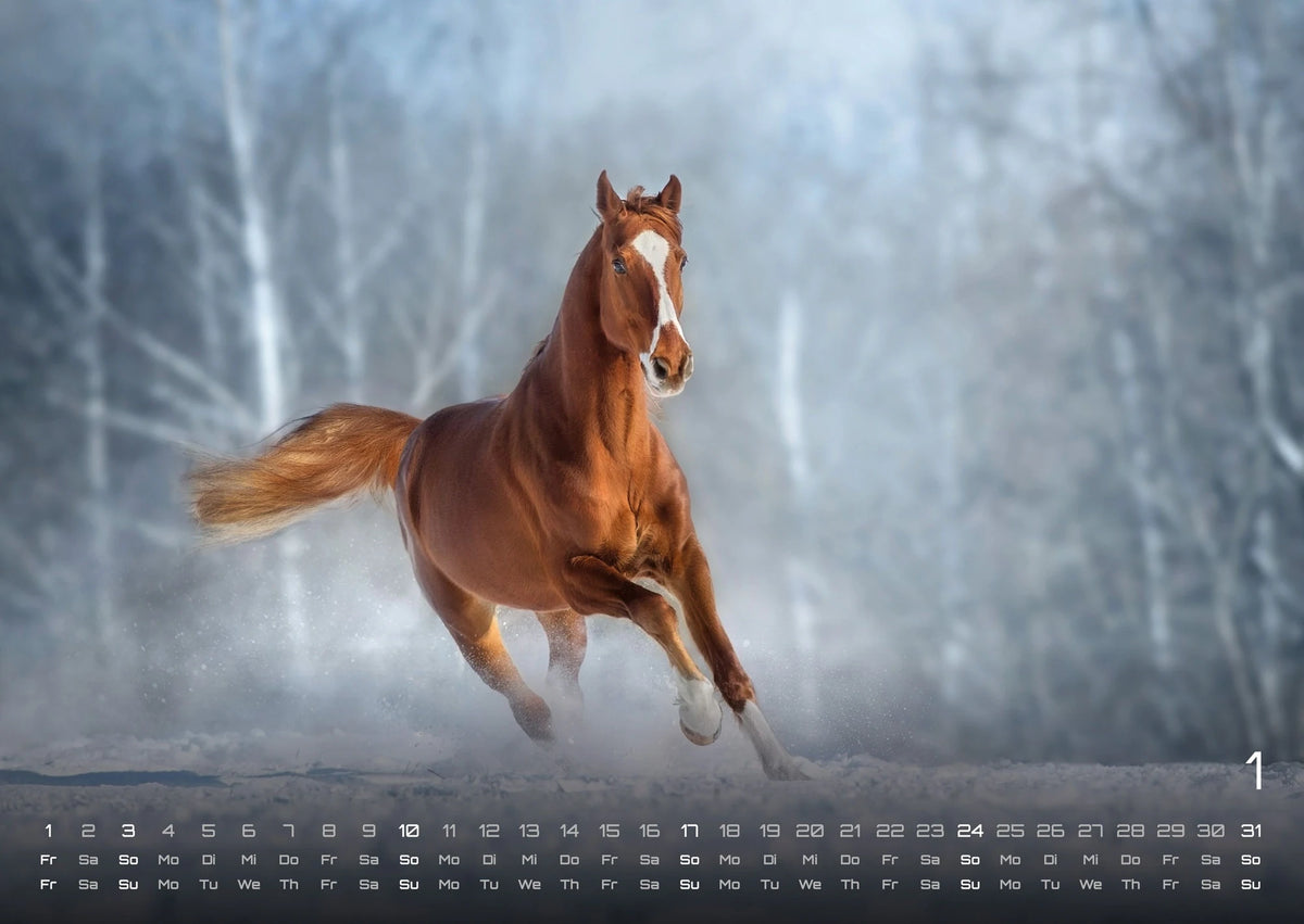 Pferdegeflüster - Der Pferdekalender - 2027 - Kalender DIN A2 – Ansicht