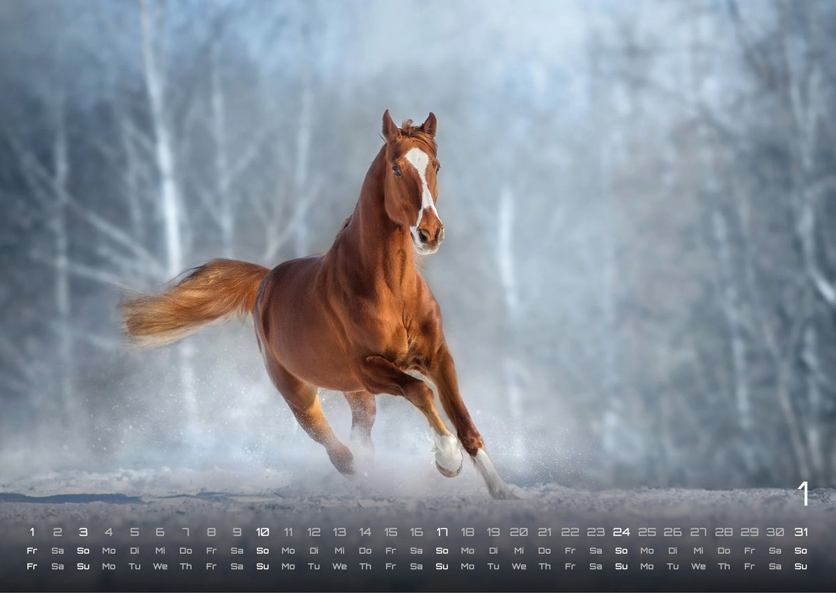 Pferdegeflüster - Der Pferdekalender - 2027 - Kalender DIN A3 – Ansicht