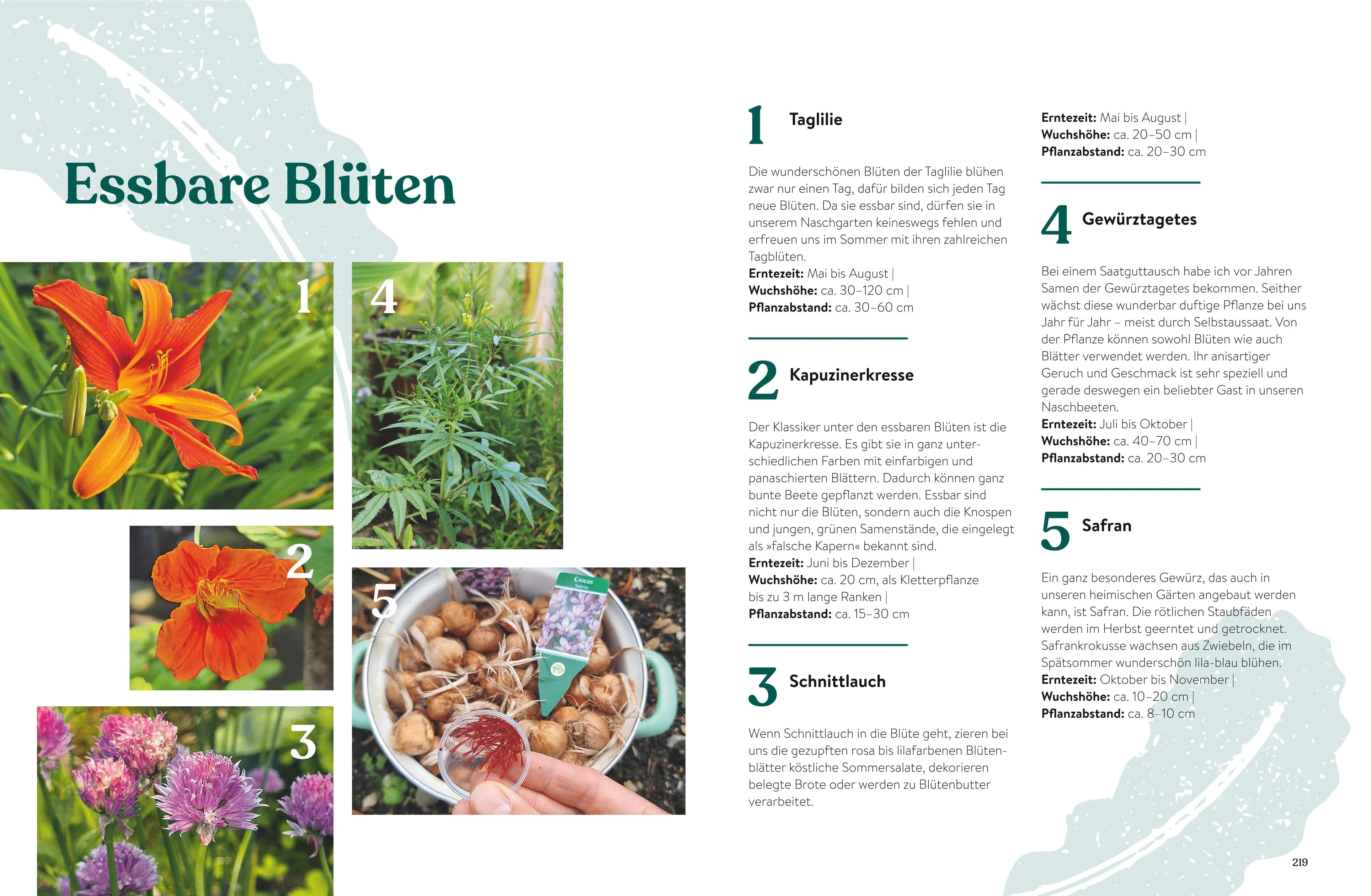 Produktansicht: Pflück dich glücklich! (Gebundene Ausgabe)