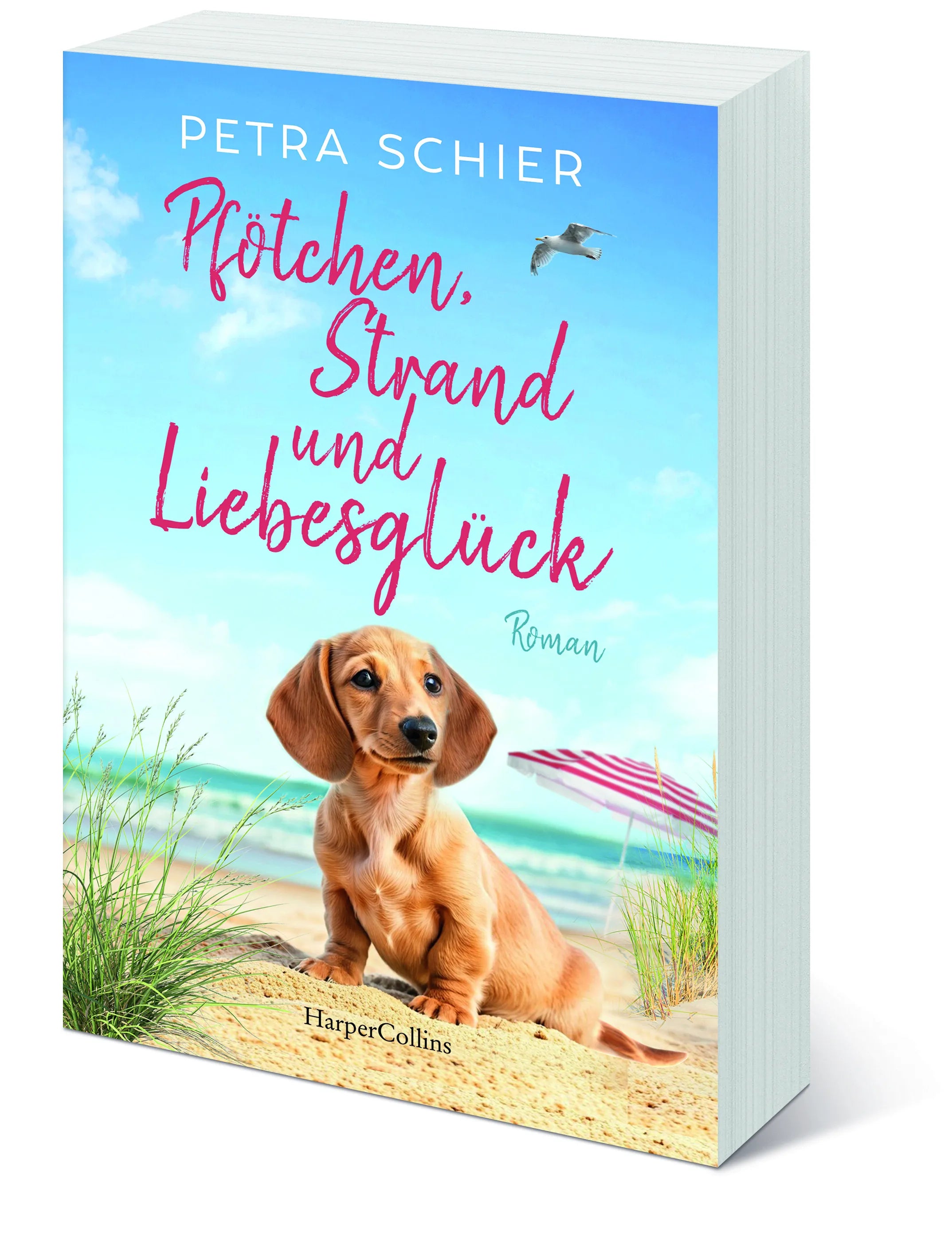 Petra Schier - Pfötchen, Strand und Liebesglück