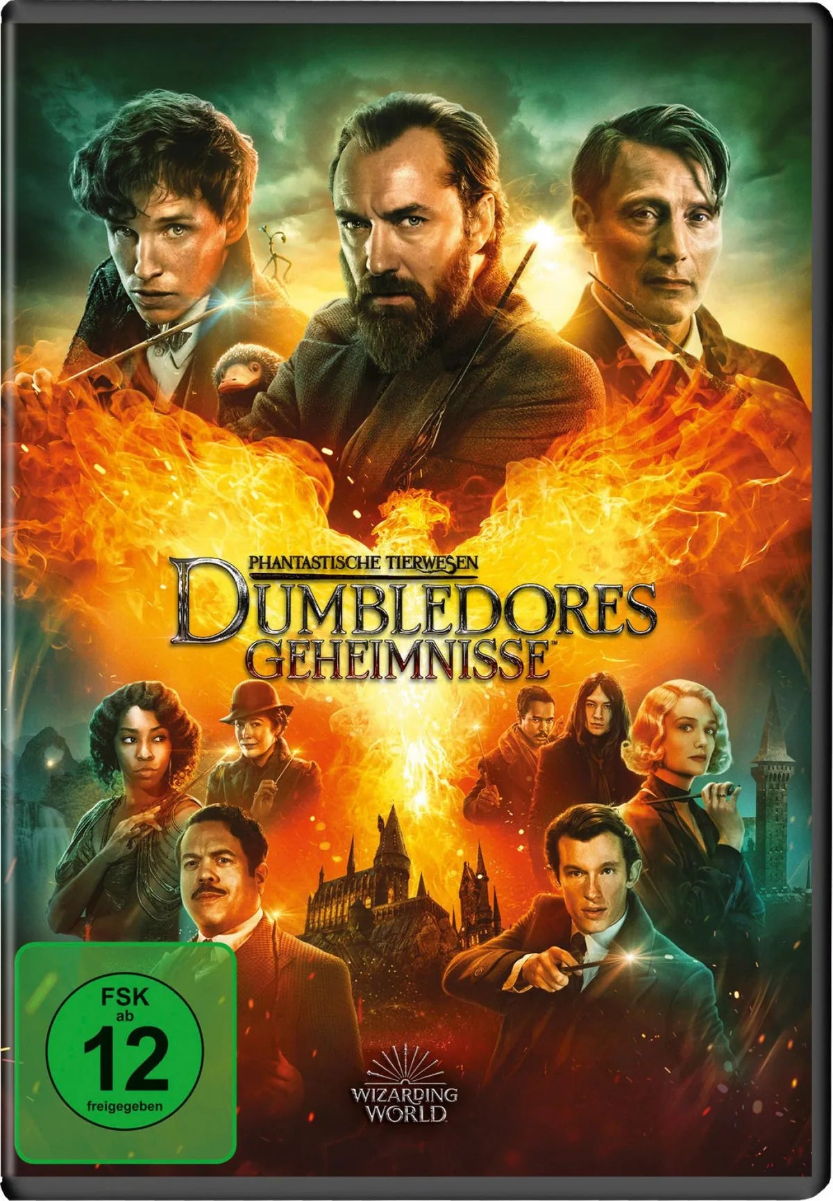 Phantastische Tierwesen: Dumbledores Geheimnisse - DVD