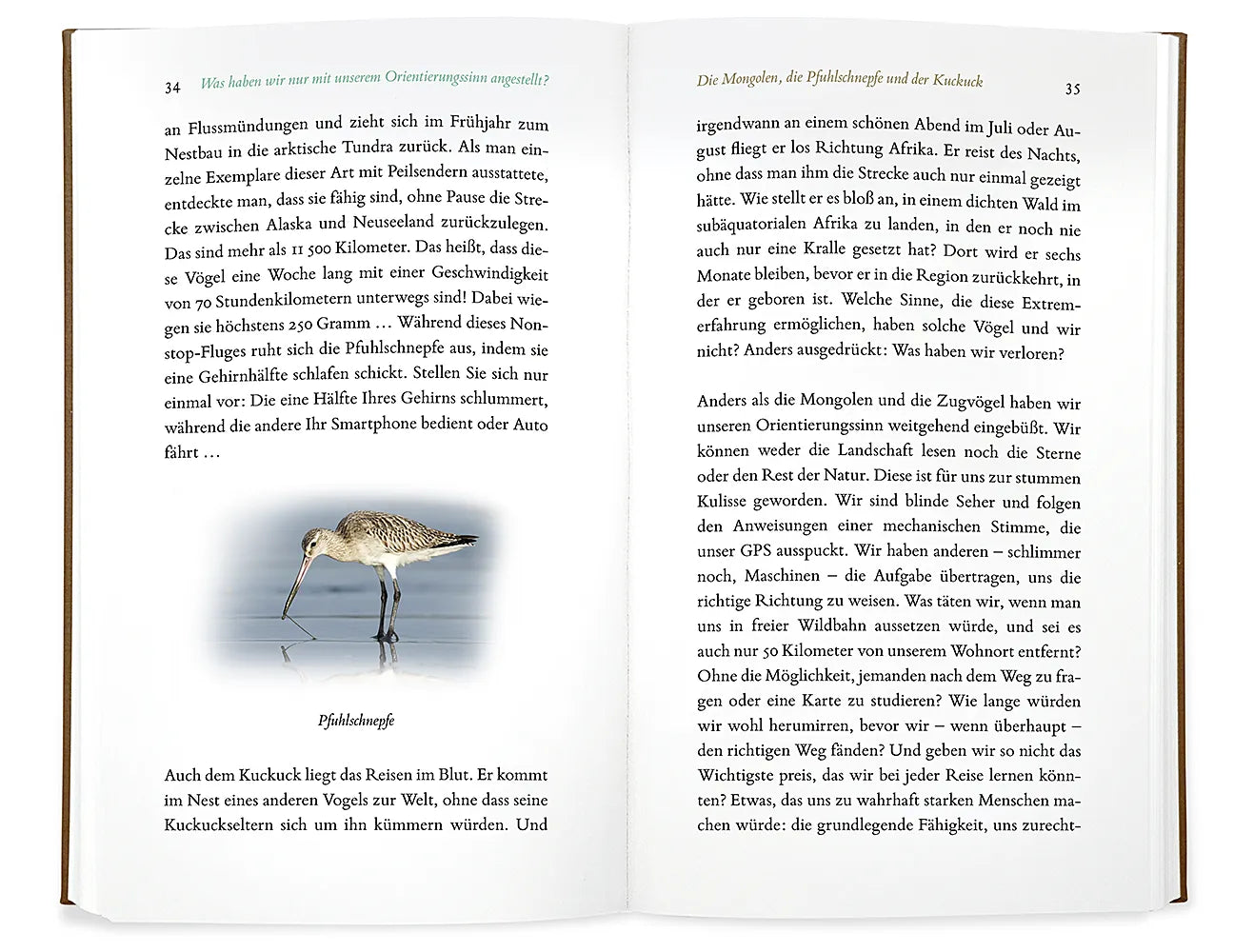 Produktansicht: Kleine Philosophie der Vögel (Gebundene Ausgabe)