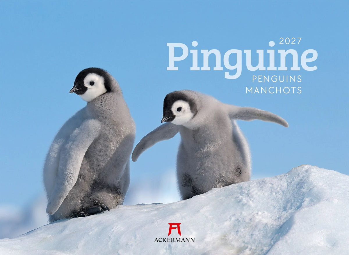 Wandkalender: Pinguine Kalender 2027