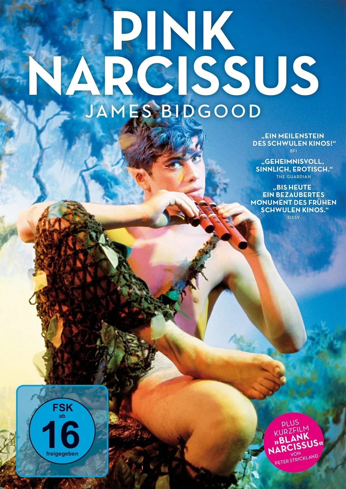 Pink Narcissus - DVD