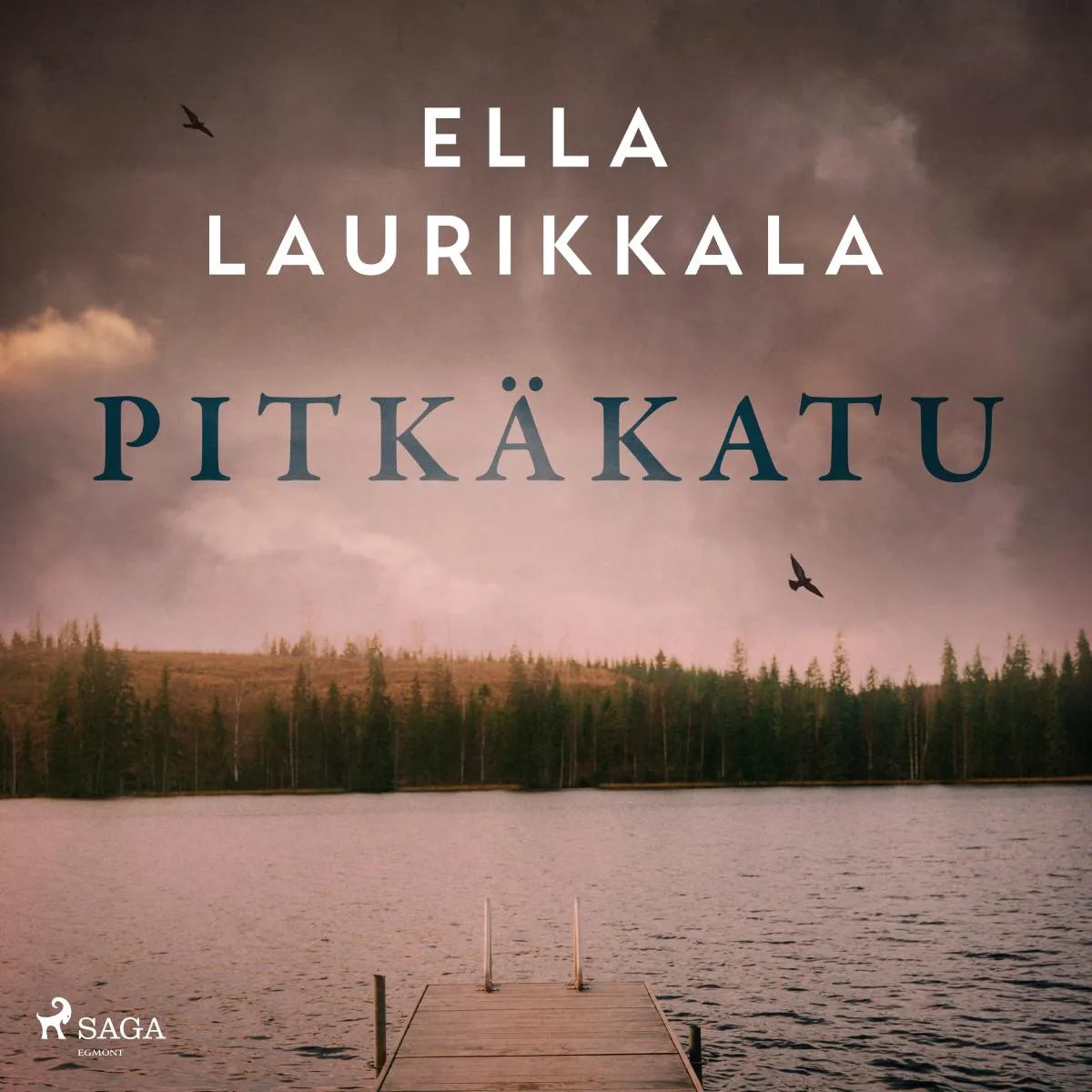Cover: Pitkäkatu (Hörbuch Download) von Ella Laurikkala
