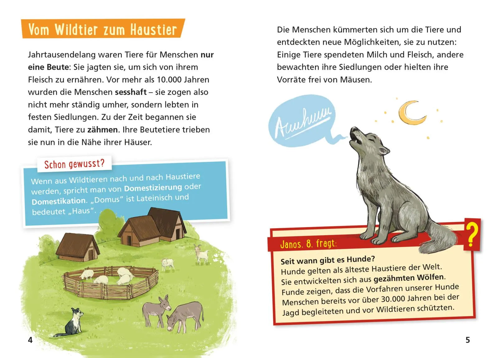 Detailansicht: Pixi Wissen 122: Haustiere (Taschenbuch)