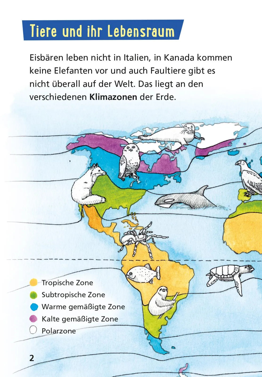 Abbildung von 'Pixi Wissen 42: Tiere der Welt'