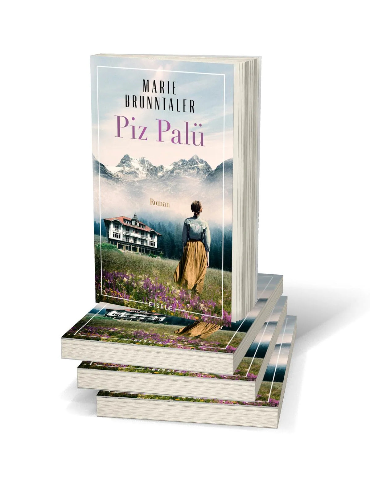 Abbildung von 'Piz Palü'