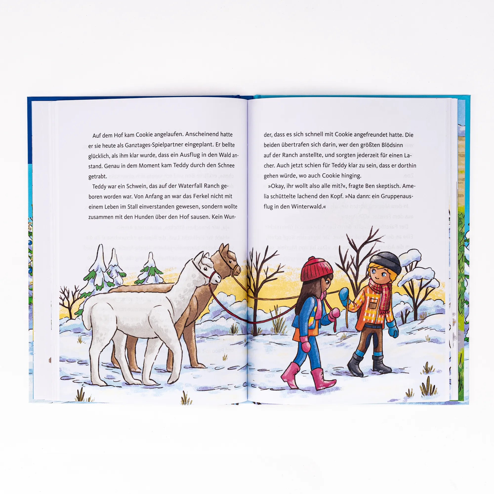 Produktansicht: PLAYMOBIL Horses of Waterfall. Weihnachtswunder auf dem Reiterhof (Gebundene Ausgabe)