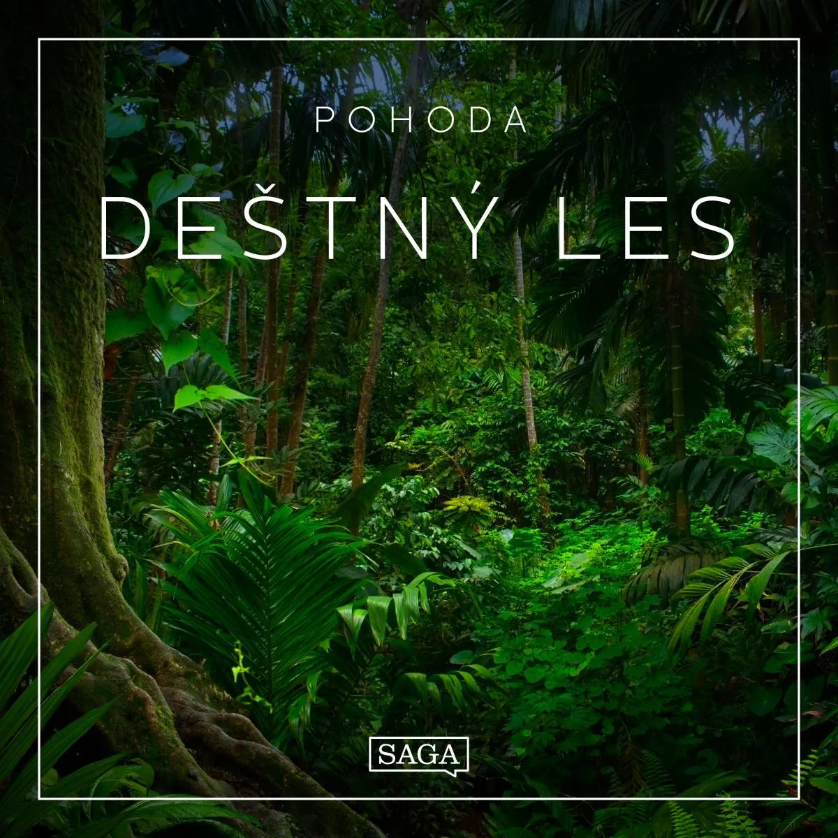 Cover: Pohoda - Deštný les (Hörbuch Download) von Rasmus Broe