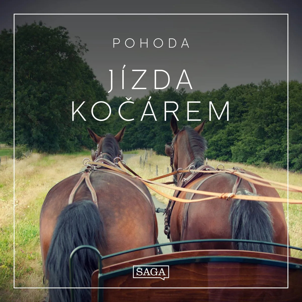 Cover: Pohoda - Jízda kočárem (Hörbuch Download) von Rasmus Broe