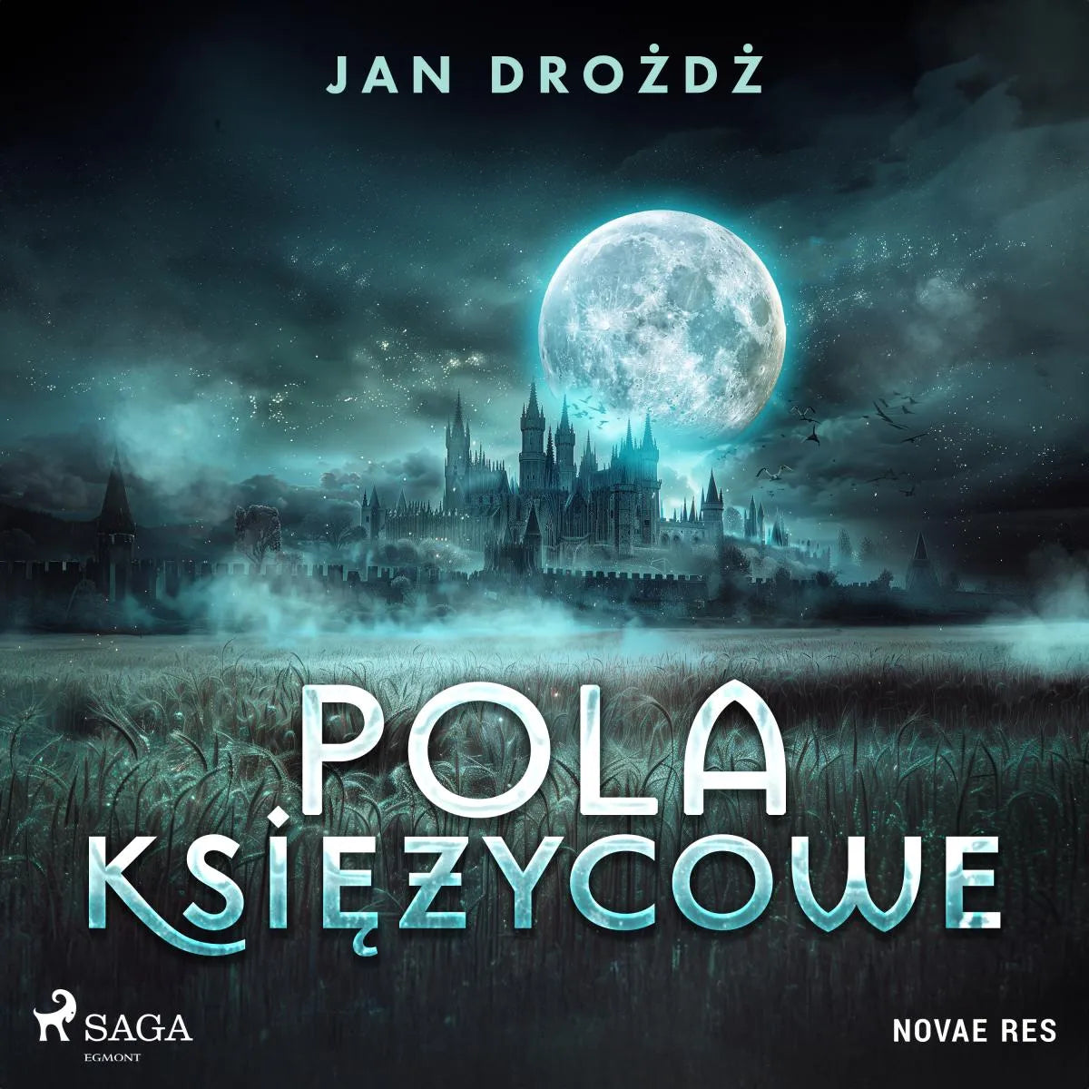Cover: Pola księżycowe (Hörbuch Download) von Jan Drozdz