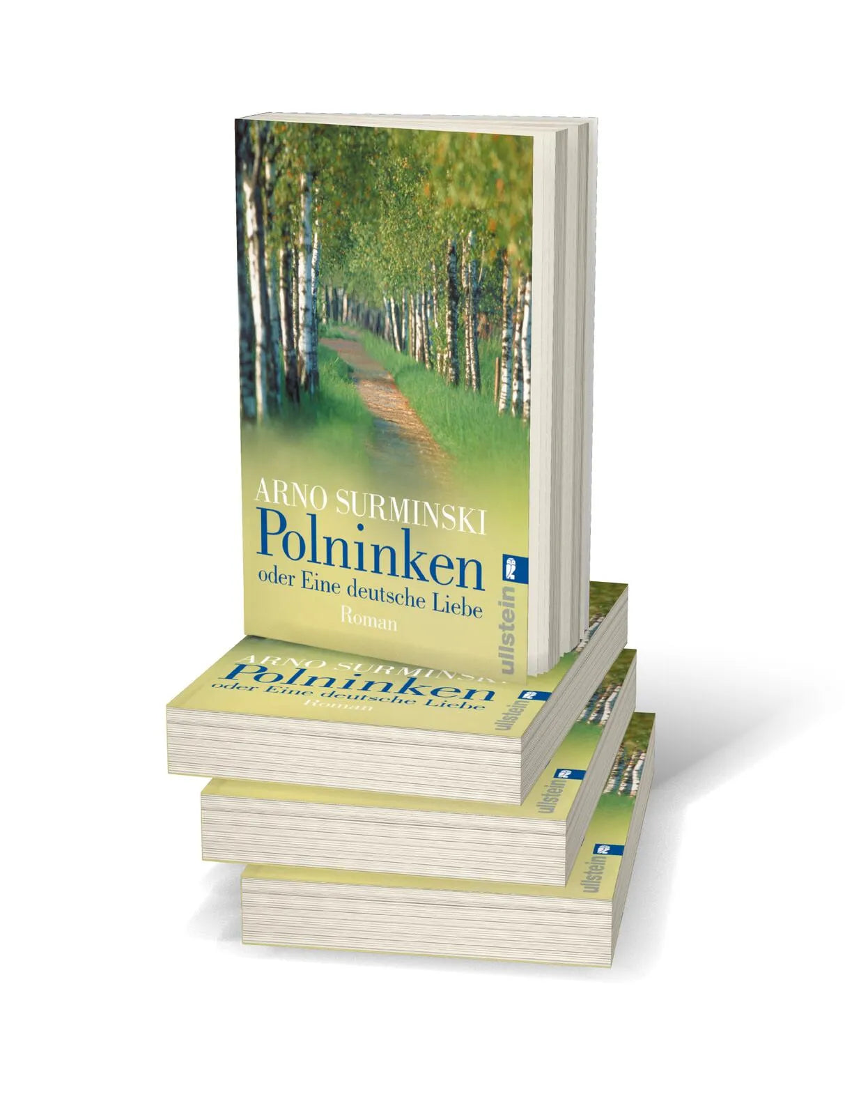 Produktansicht: Polninken (Taschenbuch)