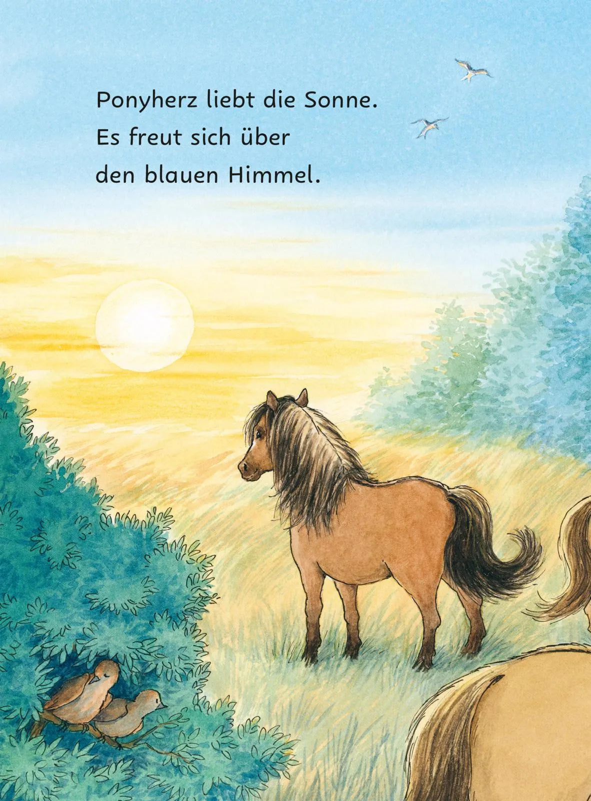 Detailansicht: Ponyherz und Herr Franz: Die geklaute Wurst (Hardcover)