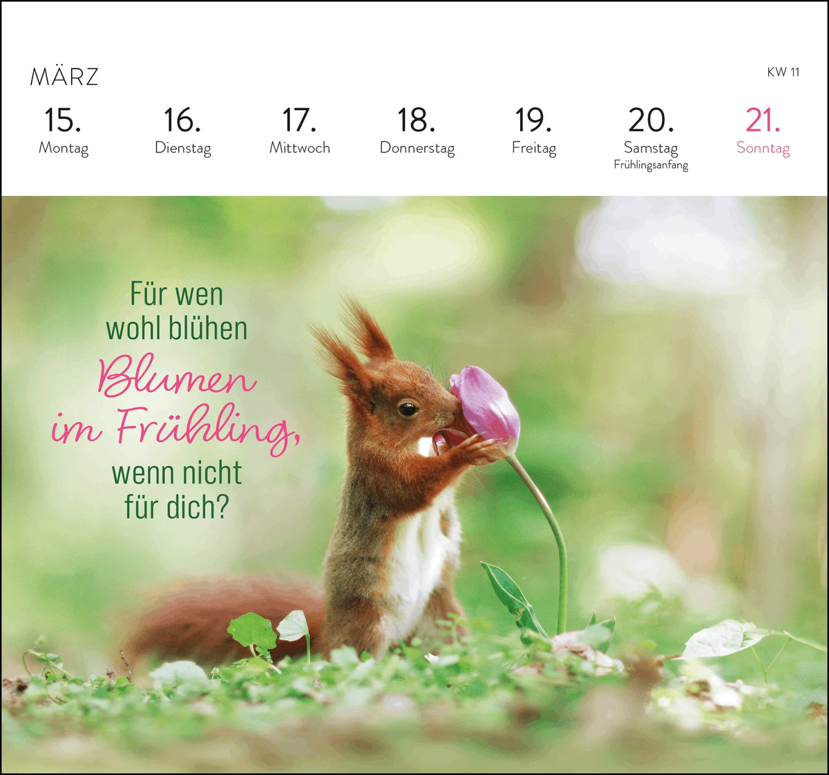 Postkartenkalender 2027: Kleine Glücksbringer für dein Jahr – Ansicht