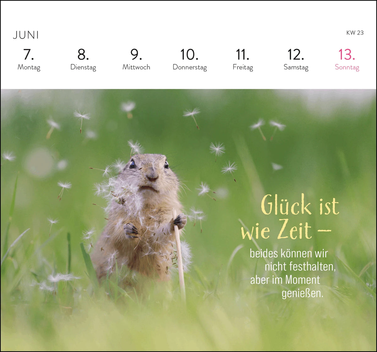 Postkartenkalender 2027: Kleine Glücksbringer für dein Jahr – Ansicht