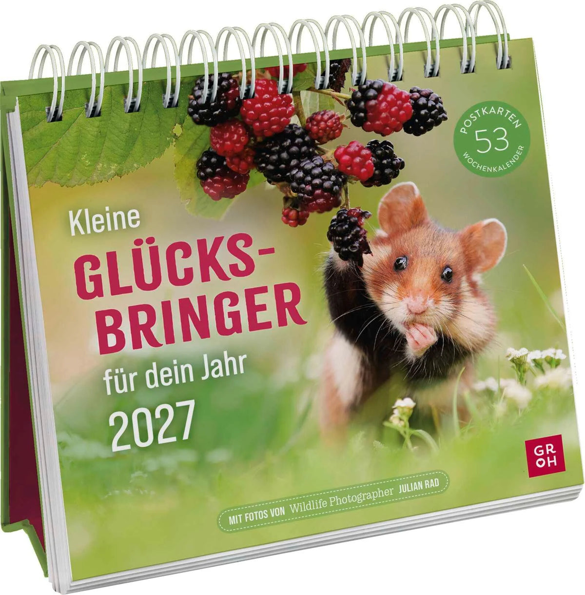 Postkartenkalender: Postkartenkalender 2027: Kleine Glücksbringer für dein Jahr