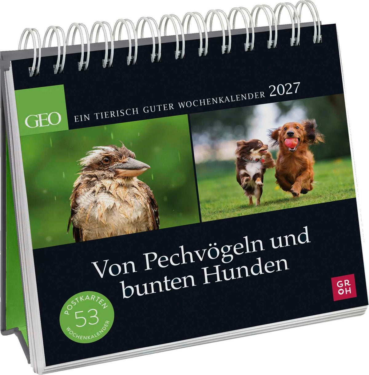 Postkartenkalender: Postkartenkalender 2027: Von Pechvögeln und bunten Hunden